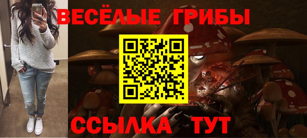 Орёл  Галлюциногенные грибы Cubensis  Вход с VPN 
